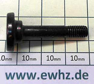 Hitachi Spezial Schraube (A) M5 - 320881