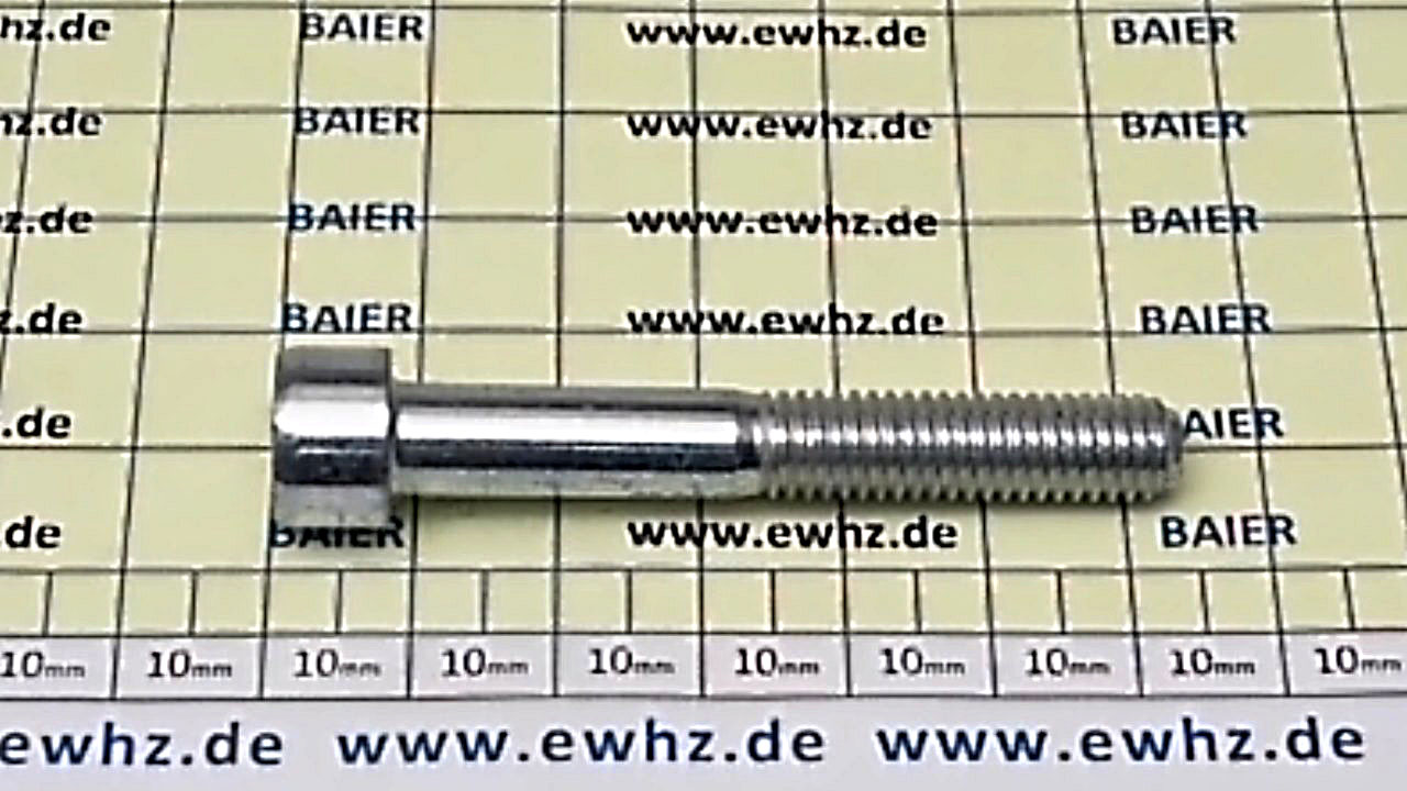 Baier Zylinderkopfschraube M8x55mm -6603